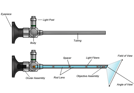 Introduction and Structure of Endoscopes